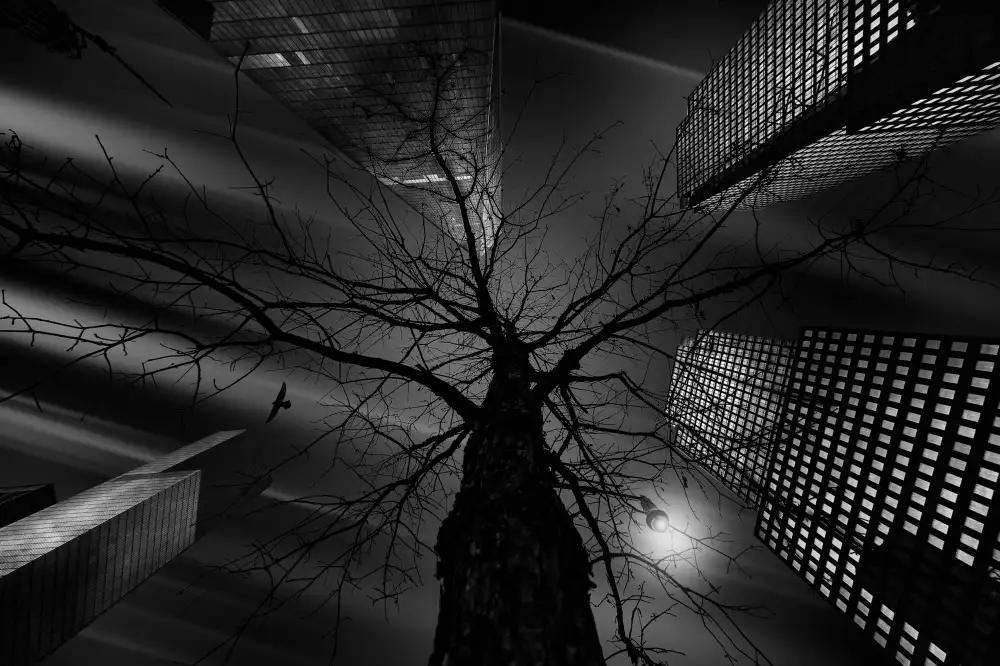 Carvalho, Jackson: La nature en ville