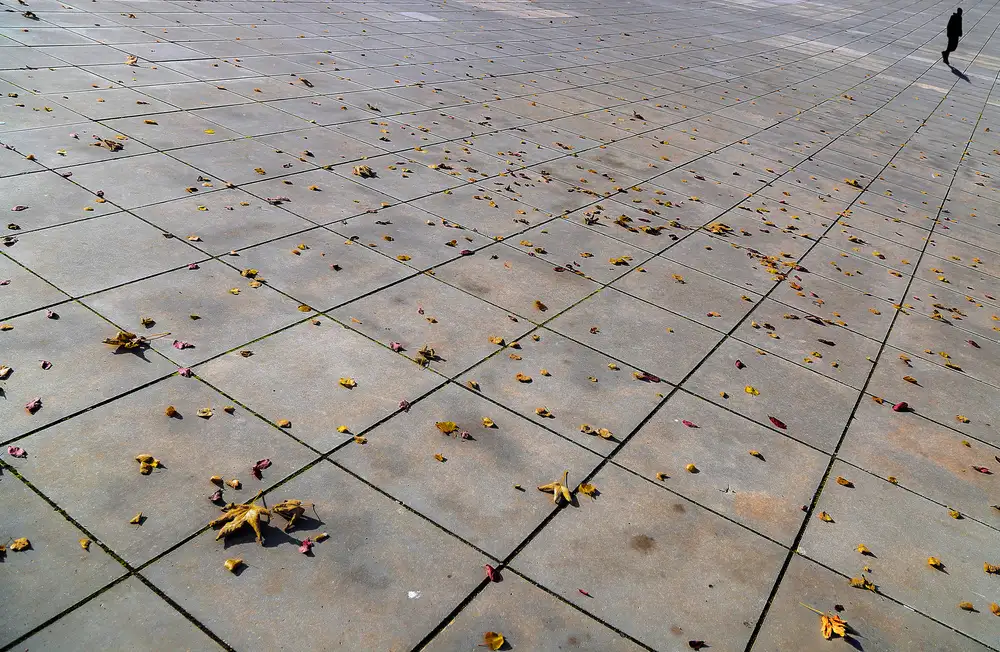 Niemiec, Anna: Pas de nom