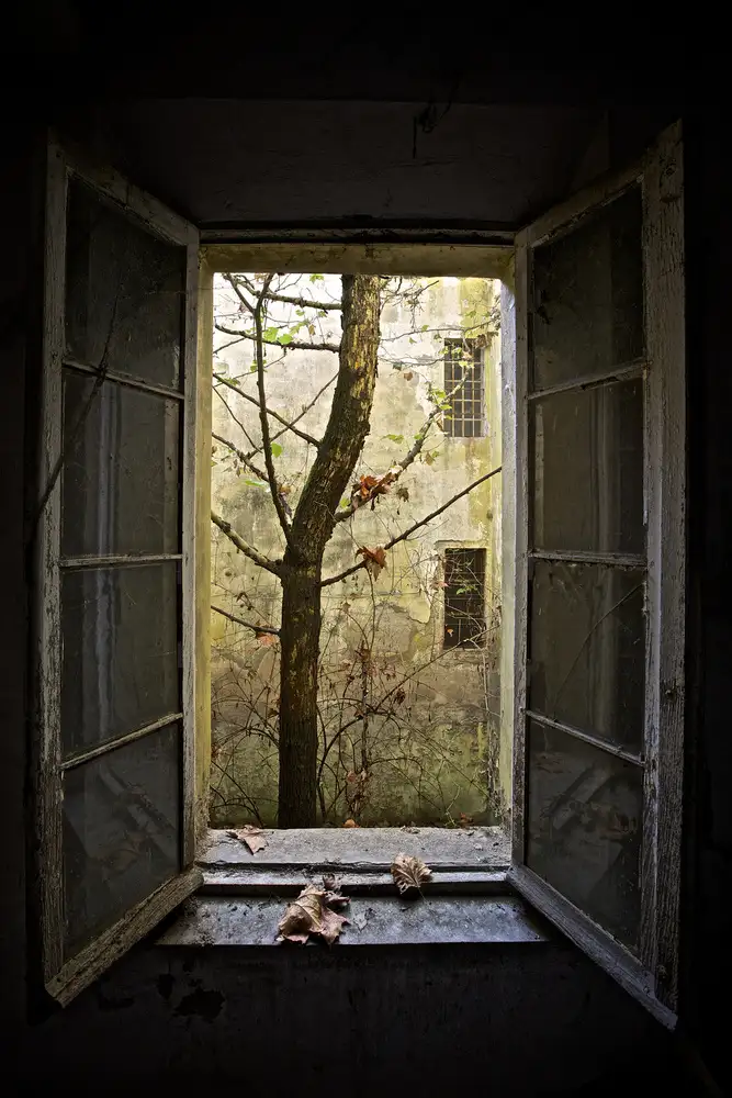 Tagliarino, Marco: Autumn in asylum