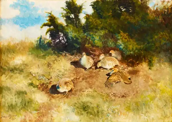 Liljefors, Bruno: Pernici al sole