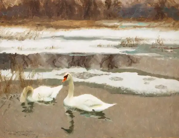Liljefors, Bruno: Cigni