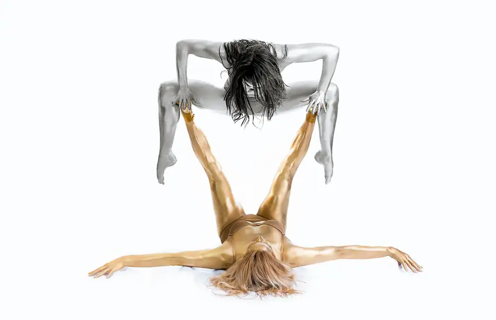 Ashton-Jones, Howard: Stříbro na zlatě - Gymnast Series
