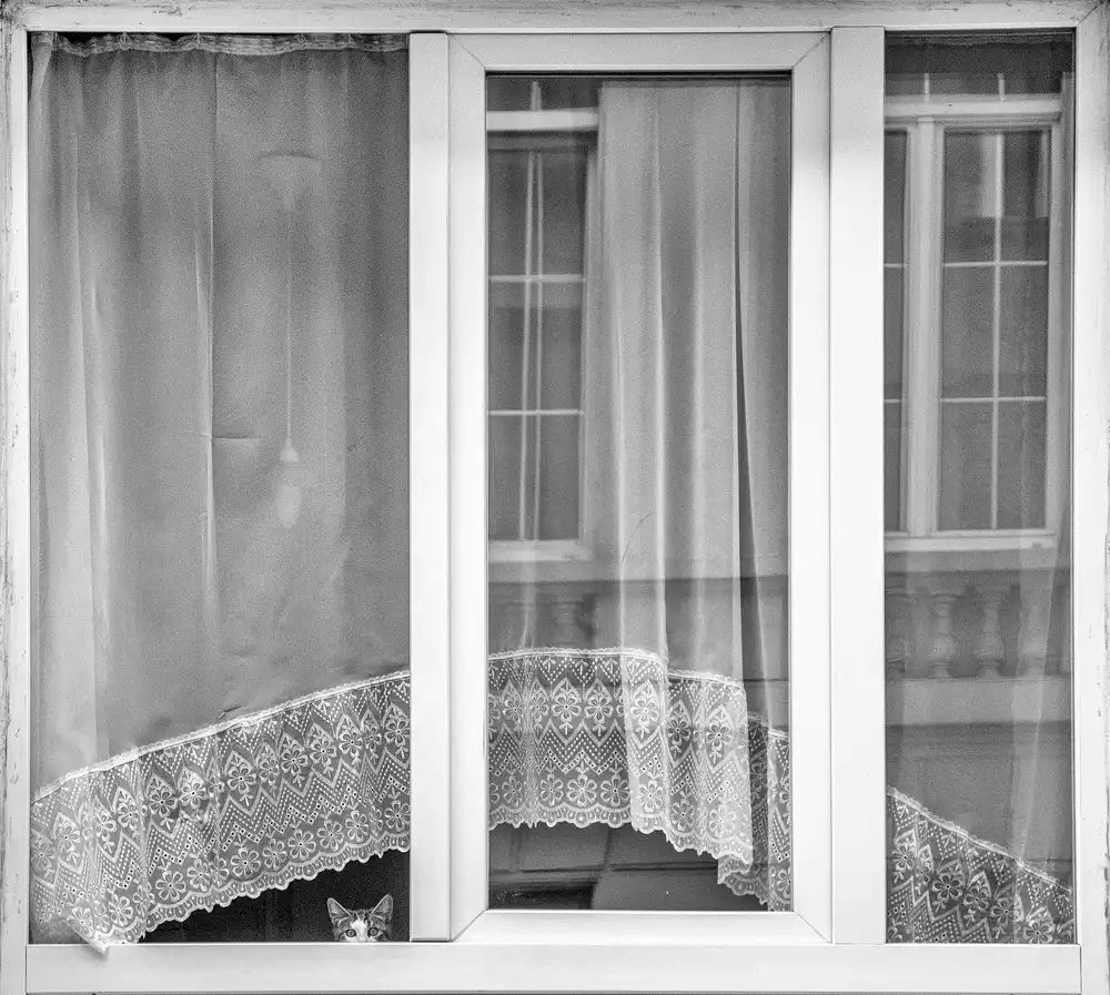 Stoop, Susanne: Finestra del gattino