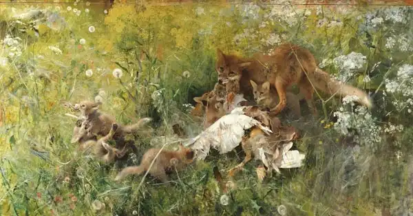 Liljefors, Bruno: Una famiglia di volpi