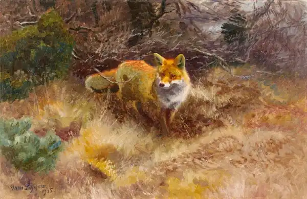 Liljefors, Bruno: Volpe e paesaggio