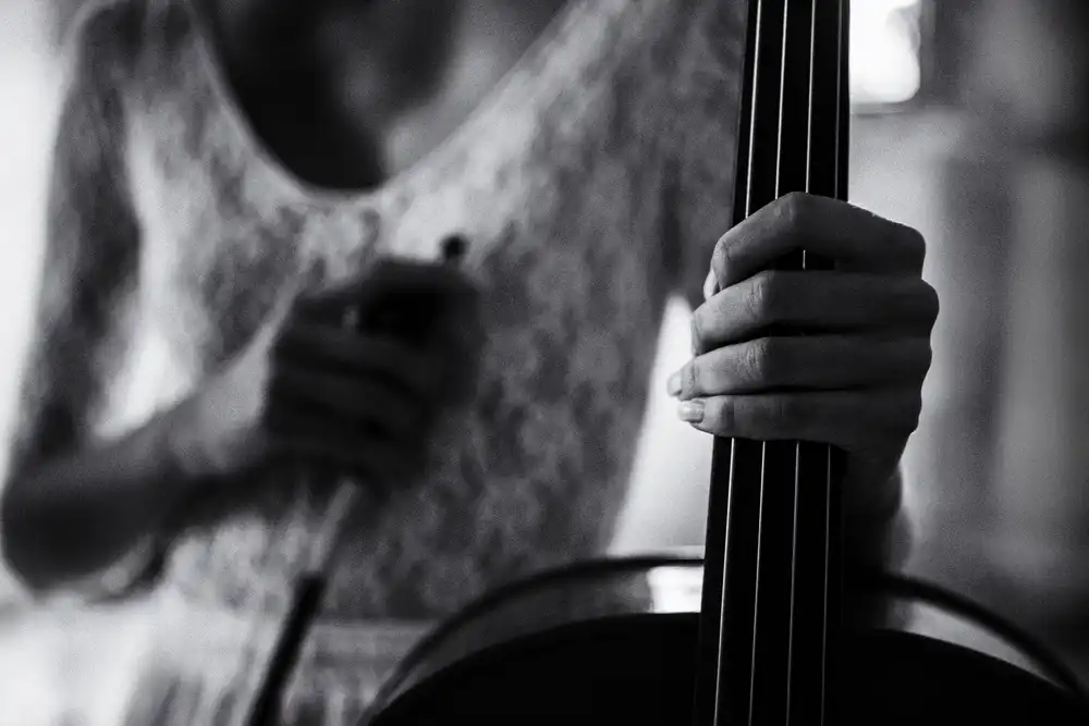 Schleicher-Schwarz, Roswitha: break for the cello