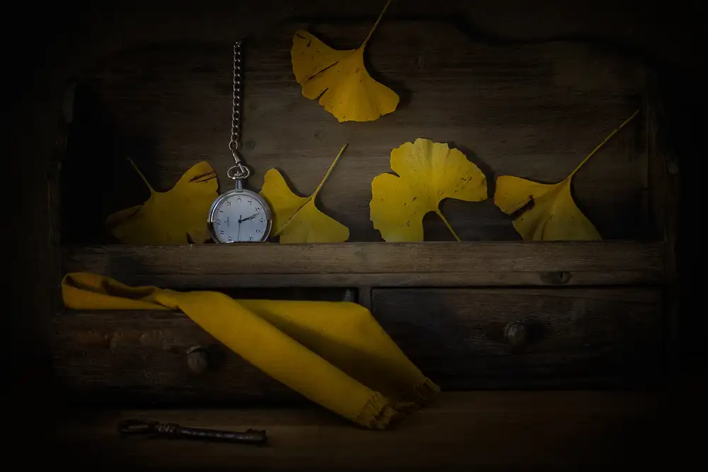 Lenka: Stopping The Time