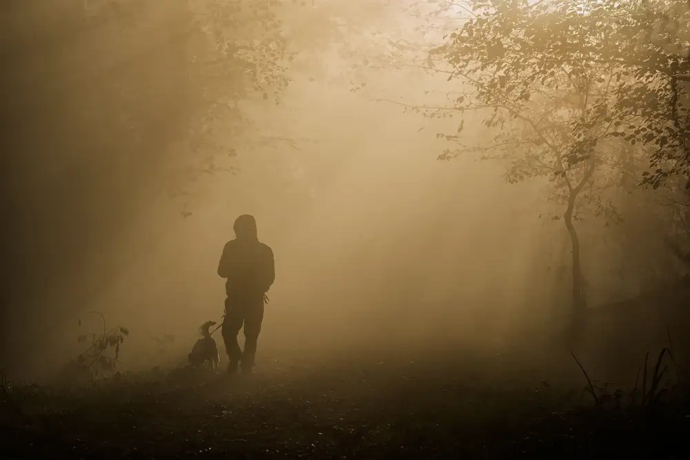 Marini, Roberto: une promenade dans le brouillard