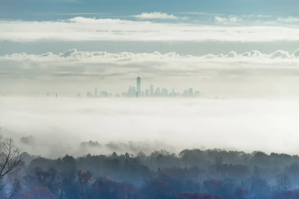 Yu, Tony: City in the Mist