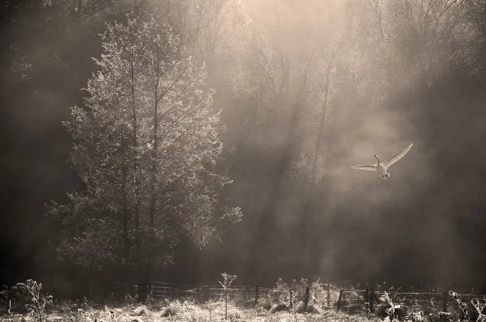 Urlings, Lou: Erster Flug
