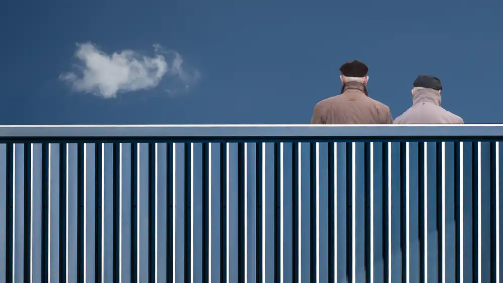 (laGrange), Vangindertael Luc: The fence