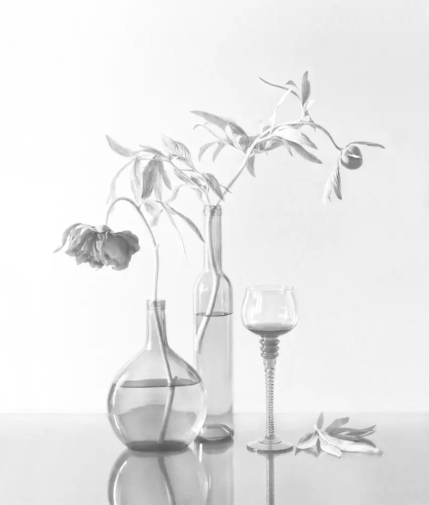 Dim, - Dimitar: Natura morta con peonie