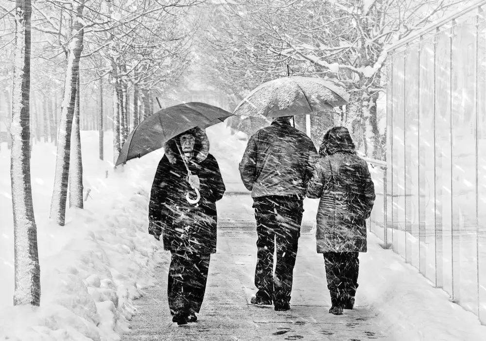 Krivec, Samanta: Freddezza