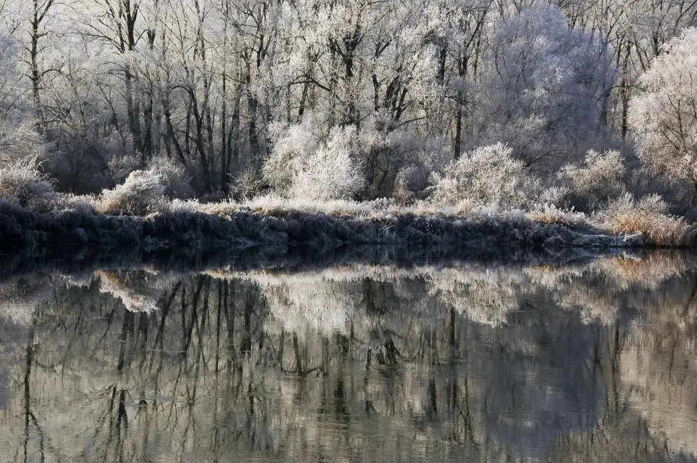 Stefan, Jacek: Il primo dell'inverno