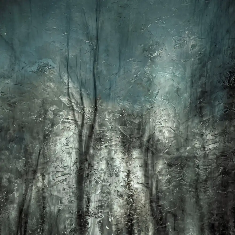 Claes, Gilbert: bois gelé