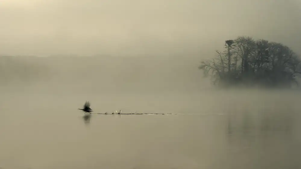 Helsen, Eddy: Misty Lake