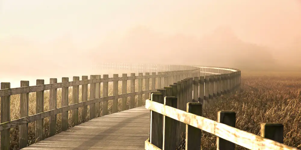 Løndal, Leif: The Path gets brighter.