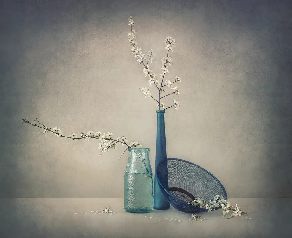 Dim, - Dimitar: Quasi primavera...