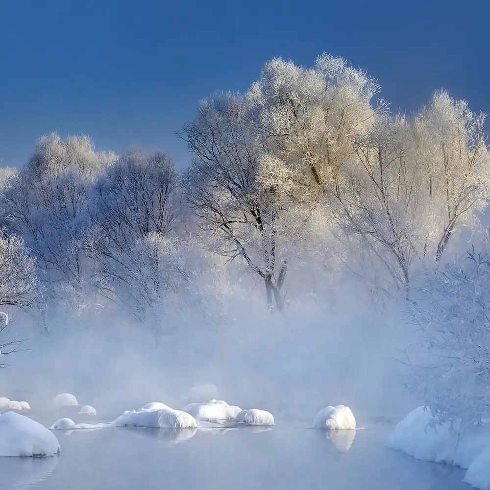 Zhu, Hua: Morning fog and rime in Kuerbin