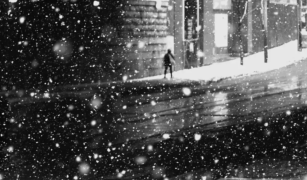 Wang, Jian: Nella neve n.2
