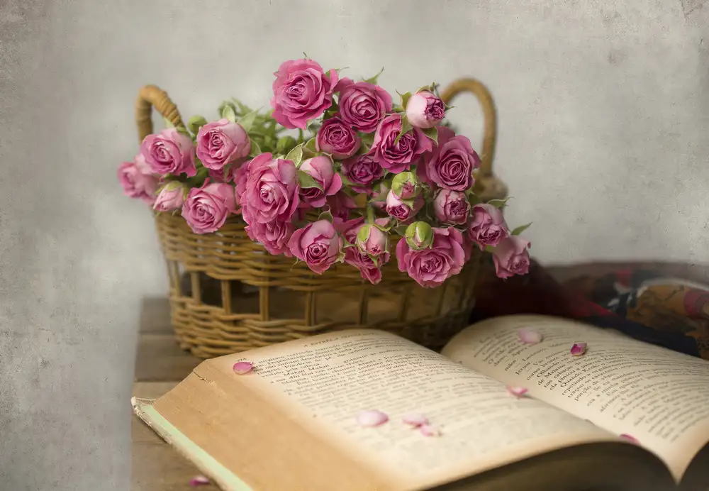 Perfoncio, Margareth: My prize