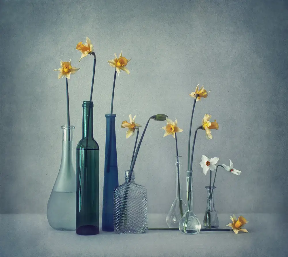 Dim, - Dimitar: Narcisi
