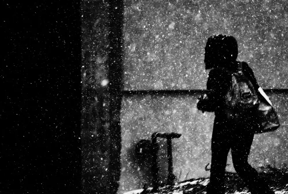 Wang, Jian: Schneetag