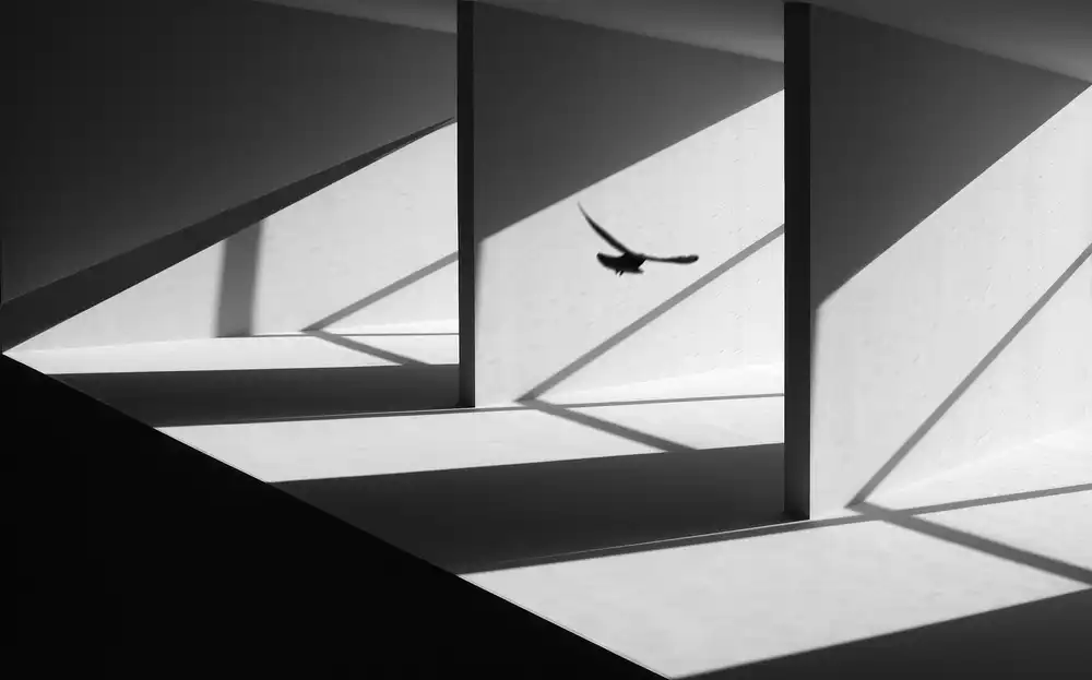 Limberg, Huib: Searching way out