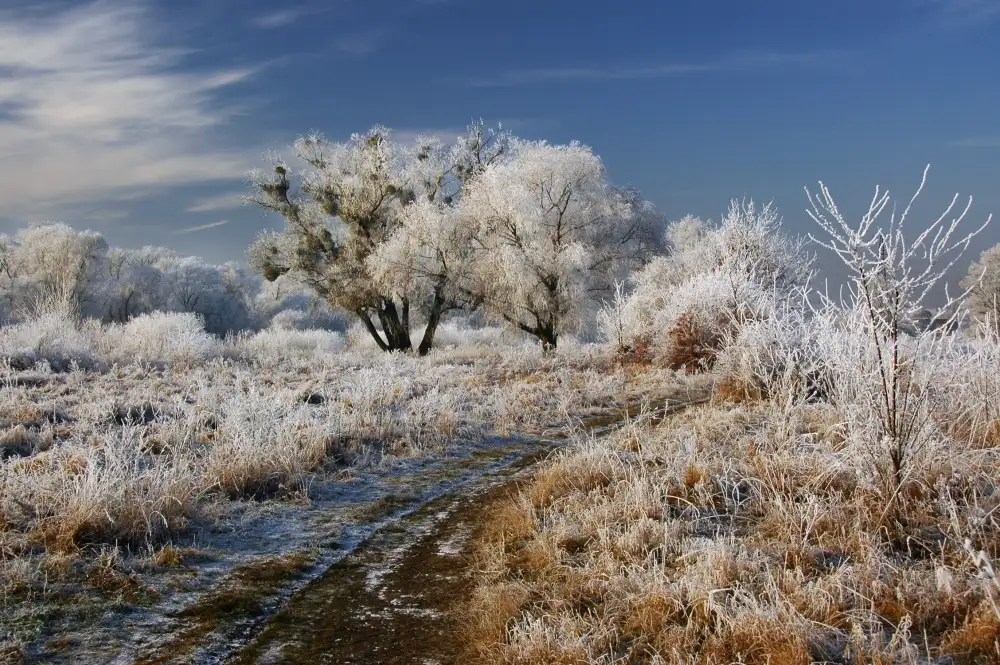 Stefan, Jacek: Benvenuti a Narnia!