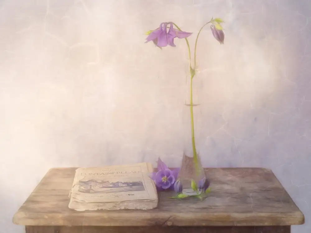 Stas, Marie-anne: Melancolia