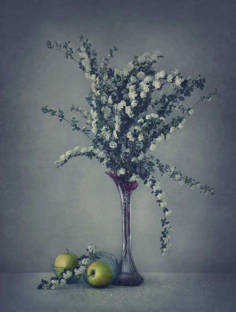 Dim, - Dimitar: Spirea