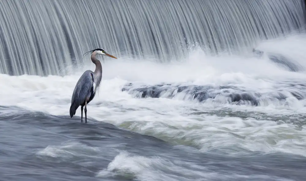 Costina, Mircea: Solitude in stormy waters