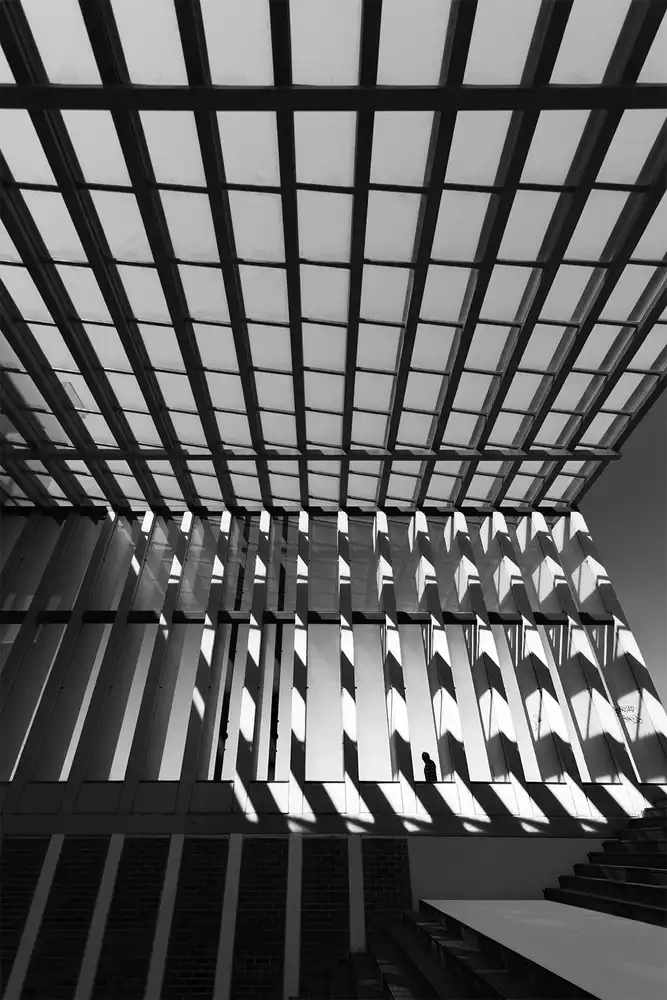 Abrantes, Paulo: The Disappearance