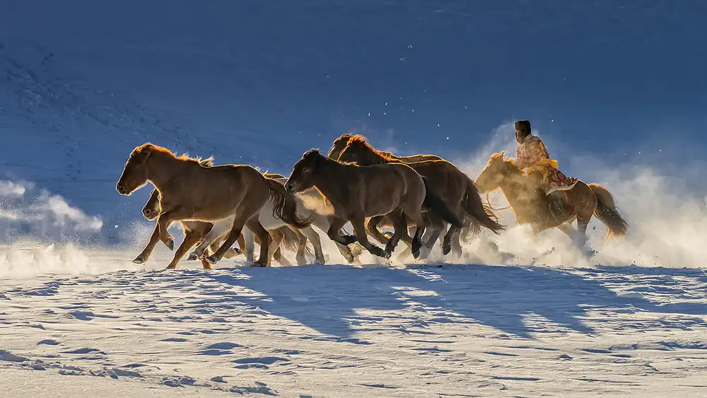 Zhu, Hua: Racing in snow