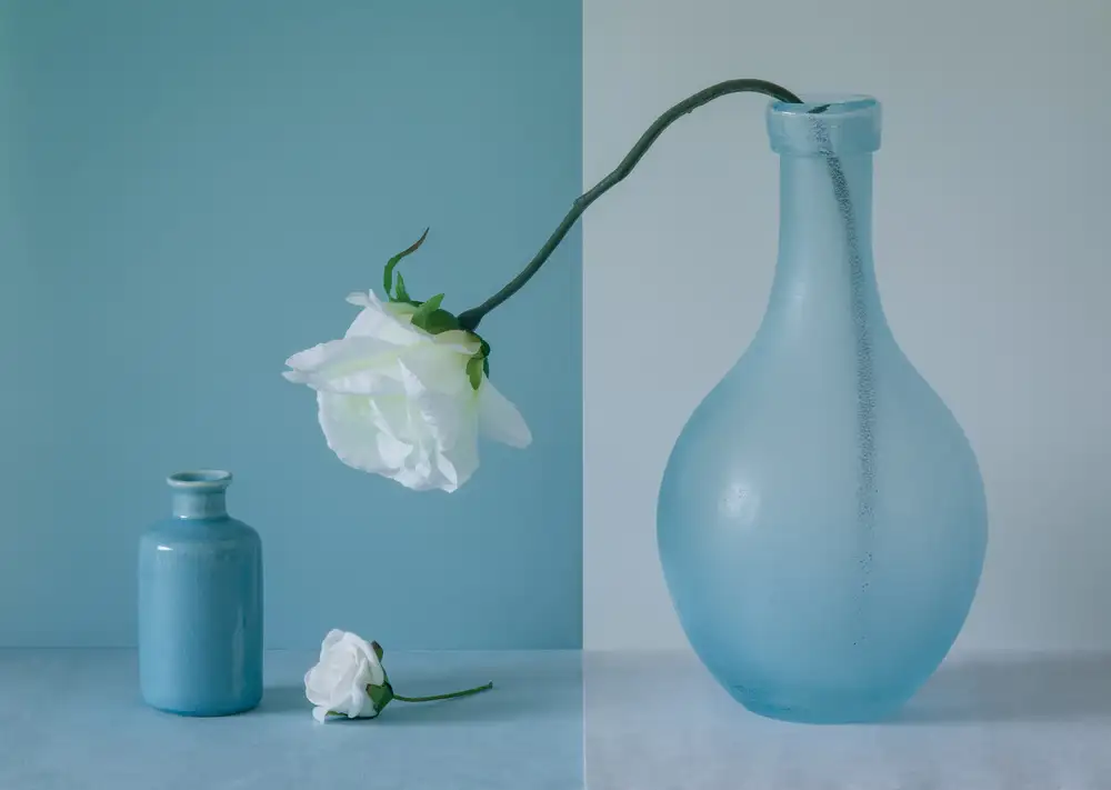 Hammer, Jacqueline: Aus der Vase