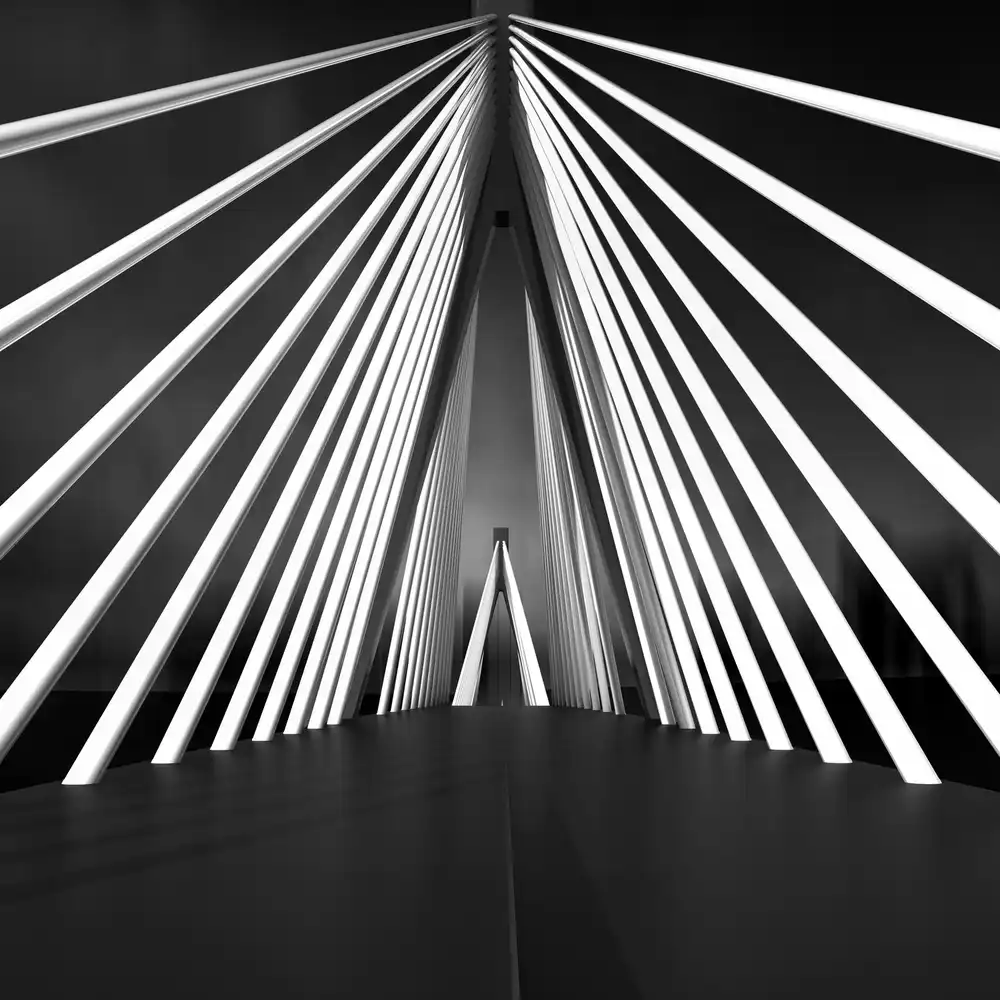 Bunjamin, Antonyus: Grande ponte di corde