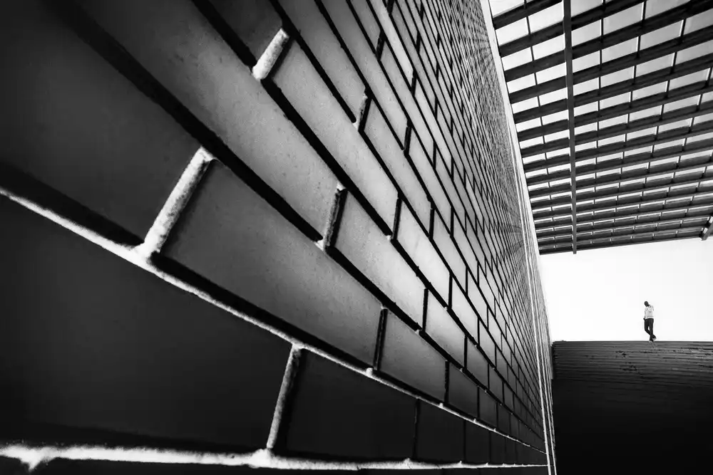 Abrantes, Paulo: Tangles
