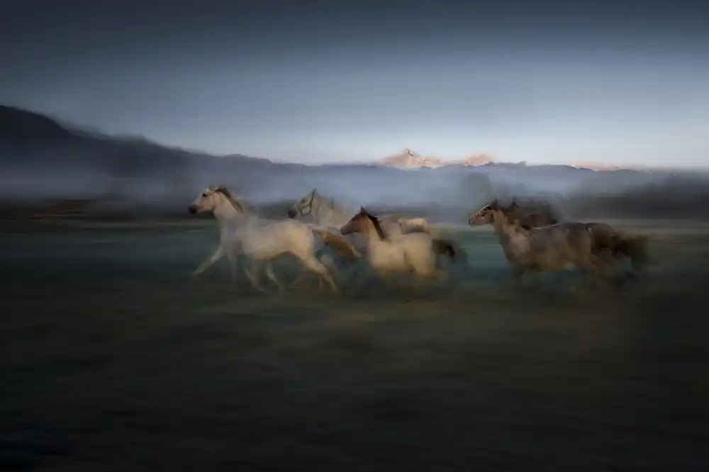 Malovrh, Milan: Morgengalopp