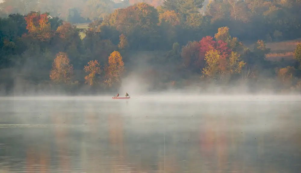 Zhu, David: Marsh Creek PA