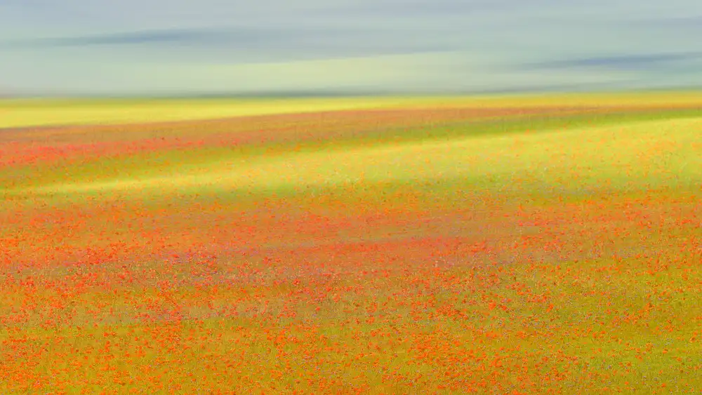 Marchegiani, Roberto: Barvy Castelluccio