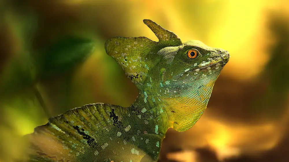 Hoffman, Jimmy: El basilisco verde