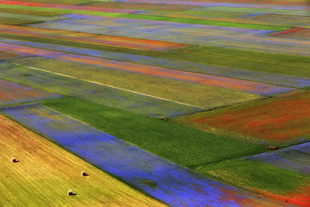 Latta, Della Massimo: La coperta