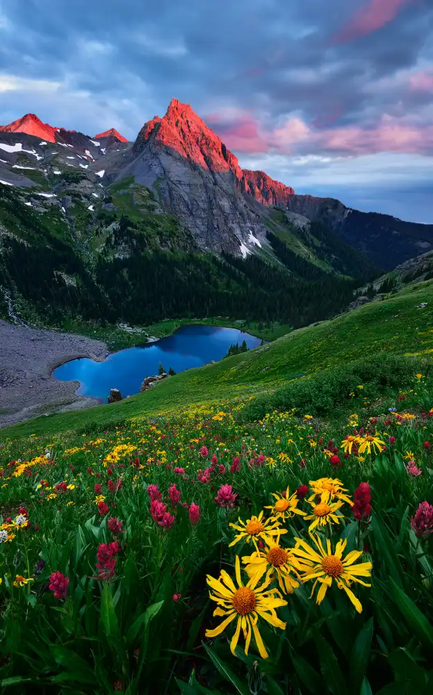 Xu, Mei: Colorado coloré