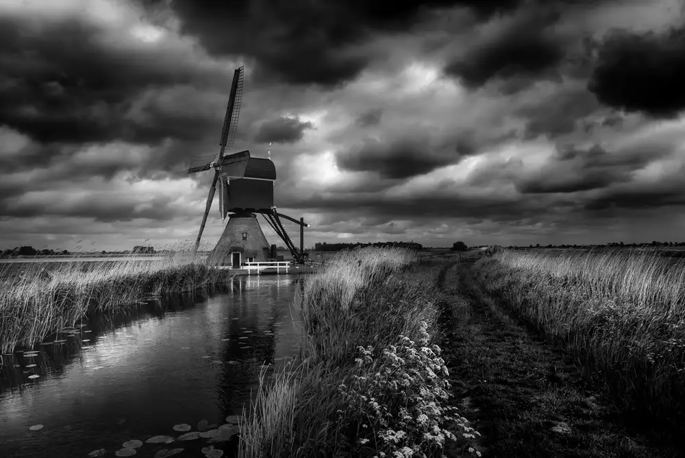 Hageman, Michiel: Orgoglio olandese