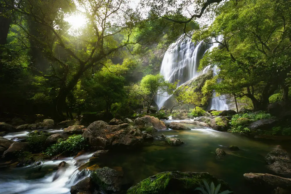 Foto, Patrick: ruisseau de montagne