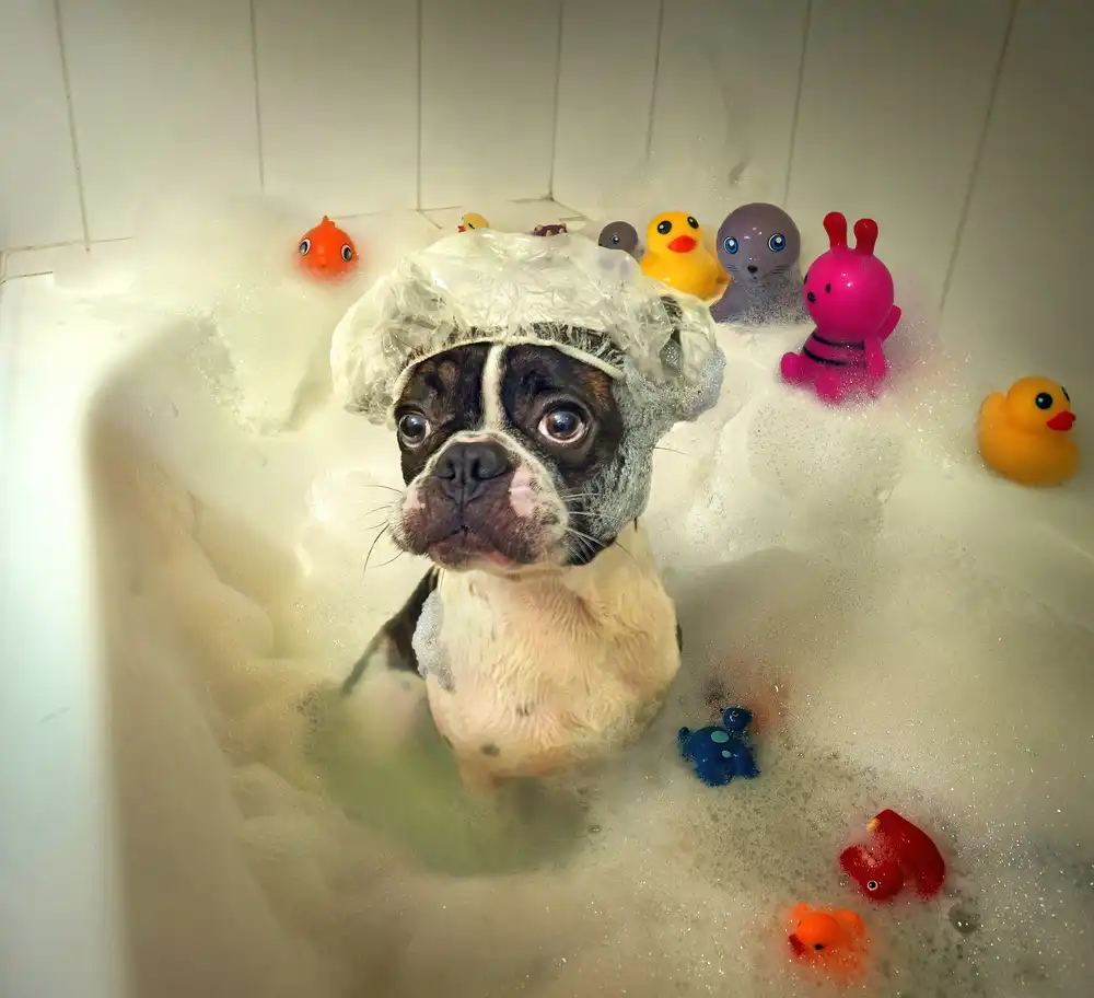 DDiArte: The Bath