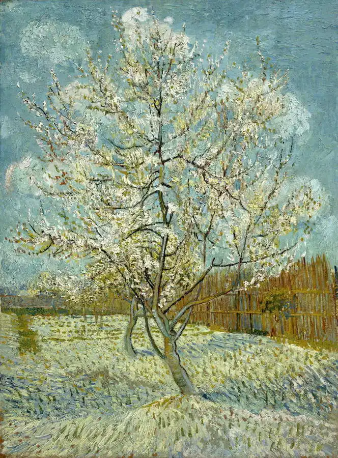 Gogh, Vincent van: Kvetoucí broskvoň