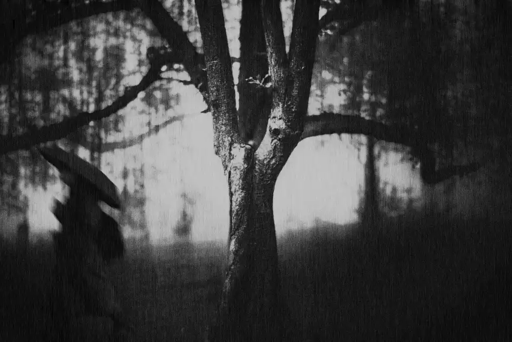 Tsuchida, Teruhiko: Árbol