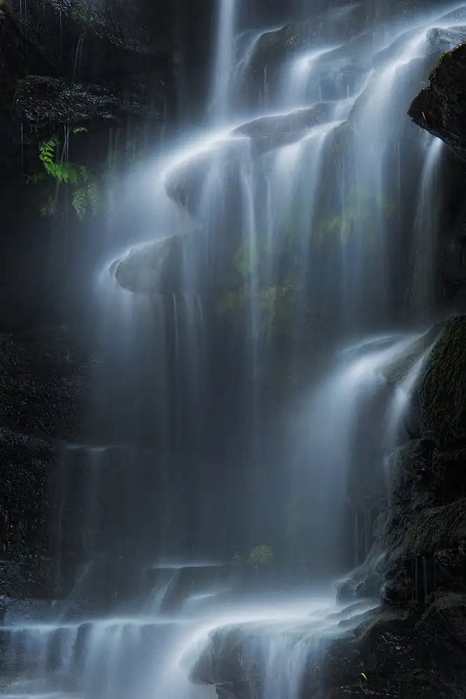 Zhang, Yan: Sylvia Falls