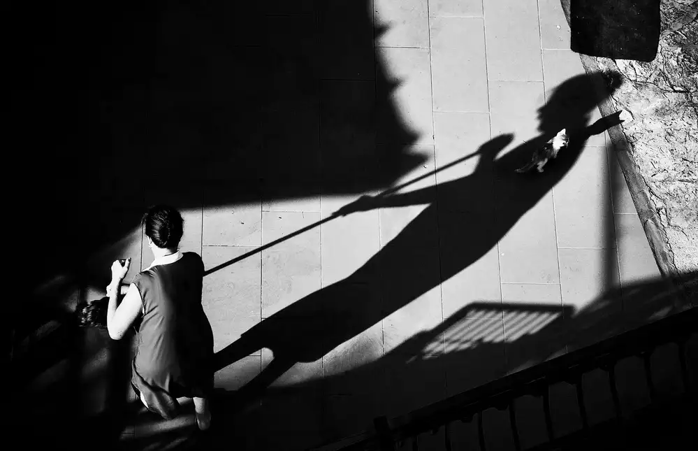 Krivec, Samanta: À la poursuite de la souris